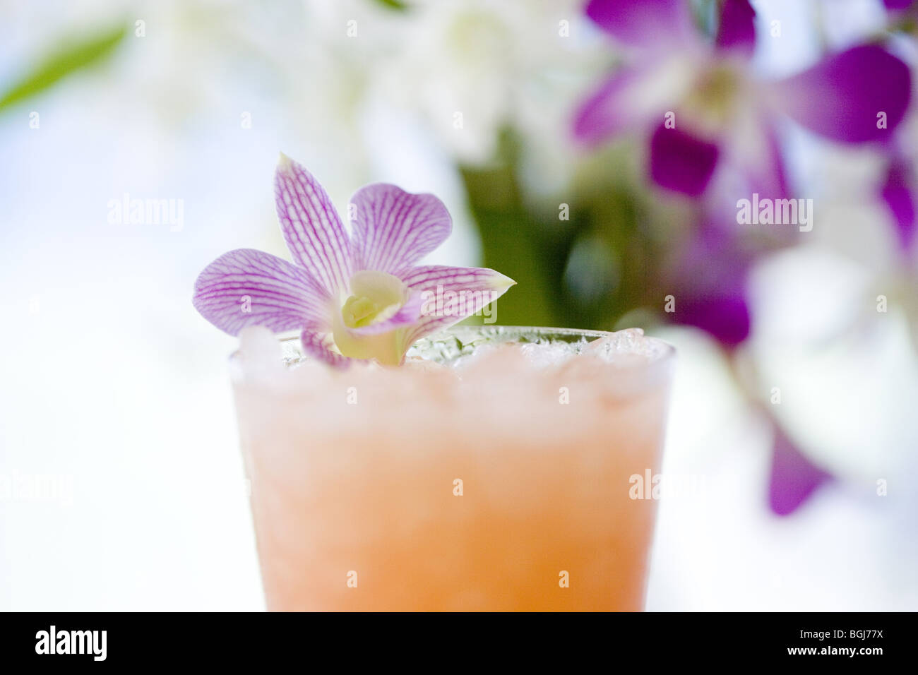 Succo Acelora Prefettura di Okinawa in Giappone Foto Stock