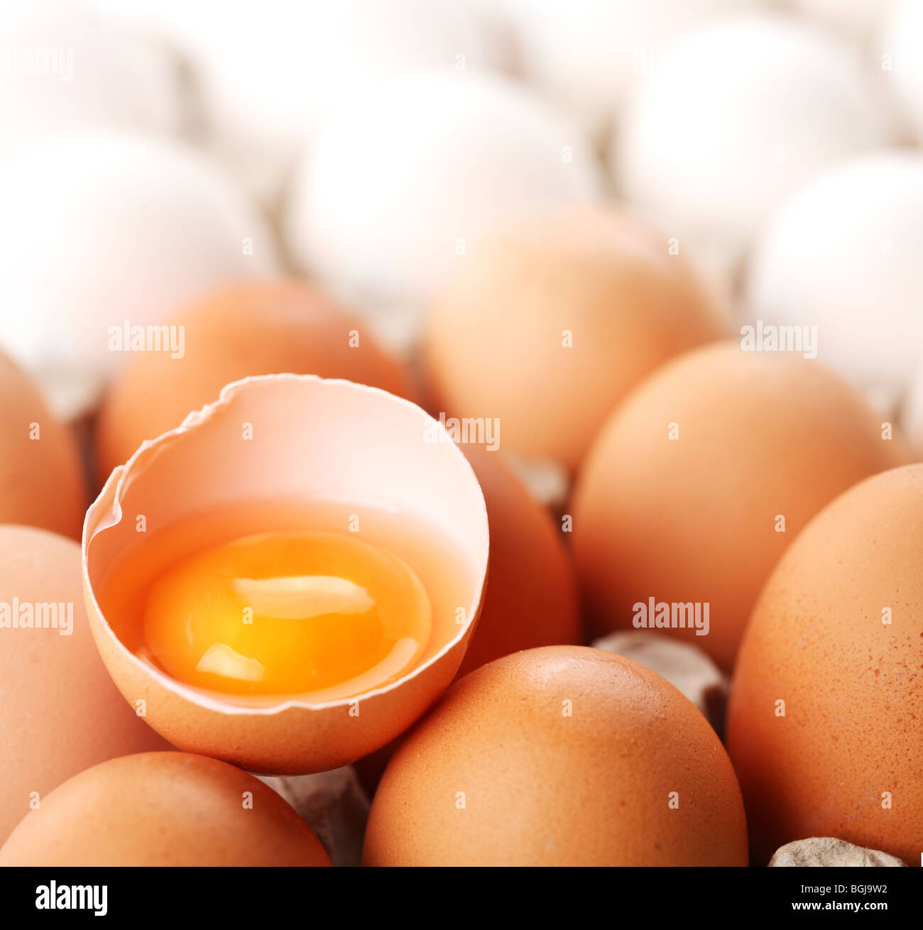 Rotto uovo marrone è tra gli albumi delle uova. Foto Stock