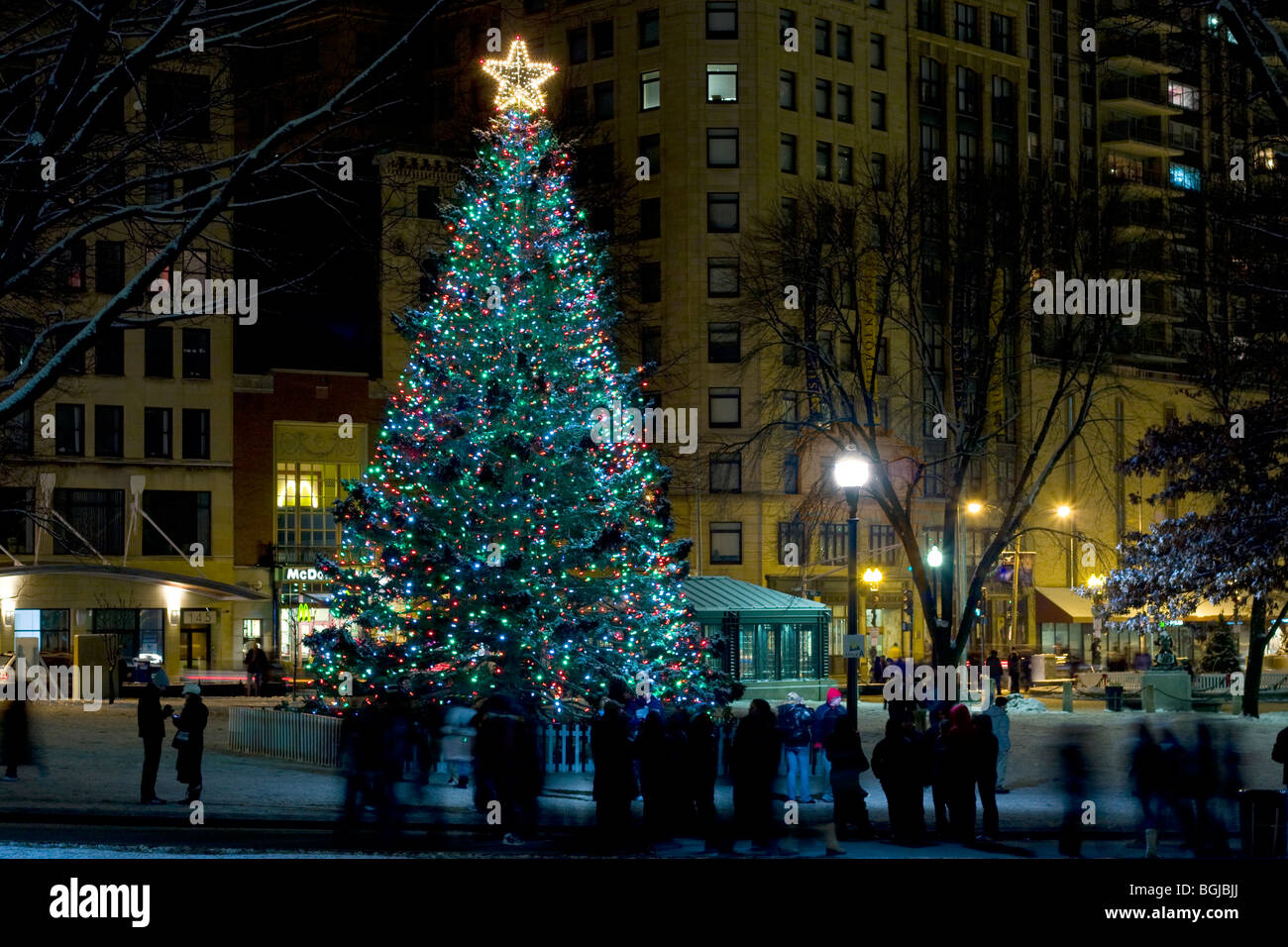 Prima Notte 2010. Albero di Natale in Boston Common, Boston Massachusetts. Foto Stock