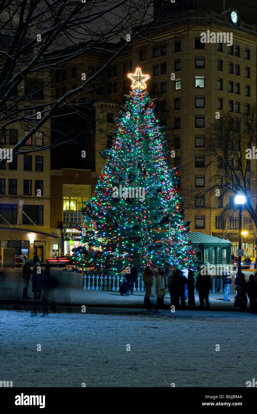 Prima Notte 2010. Albero di Natale in Boston Common, Boston Massachusetts. Foto Stock