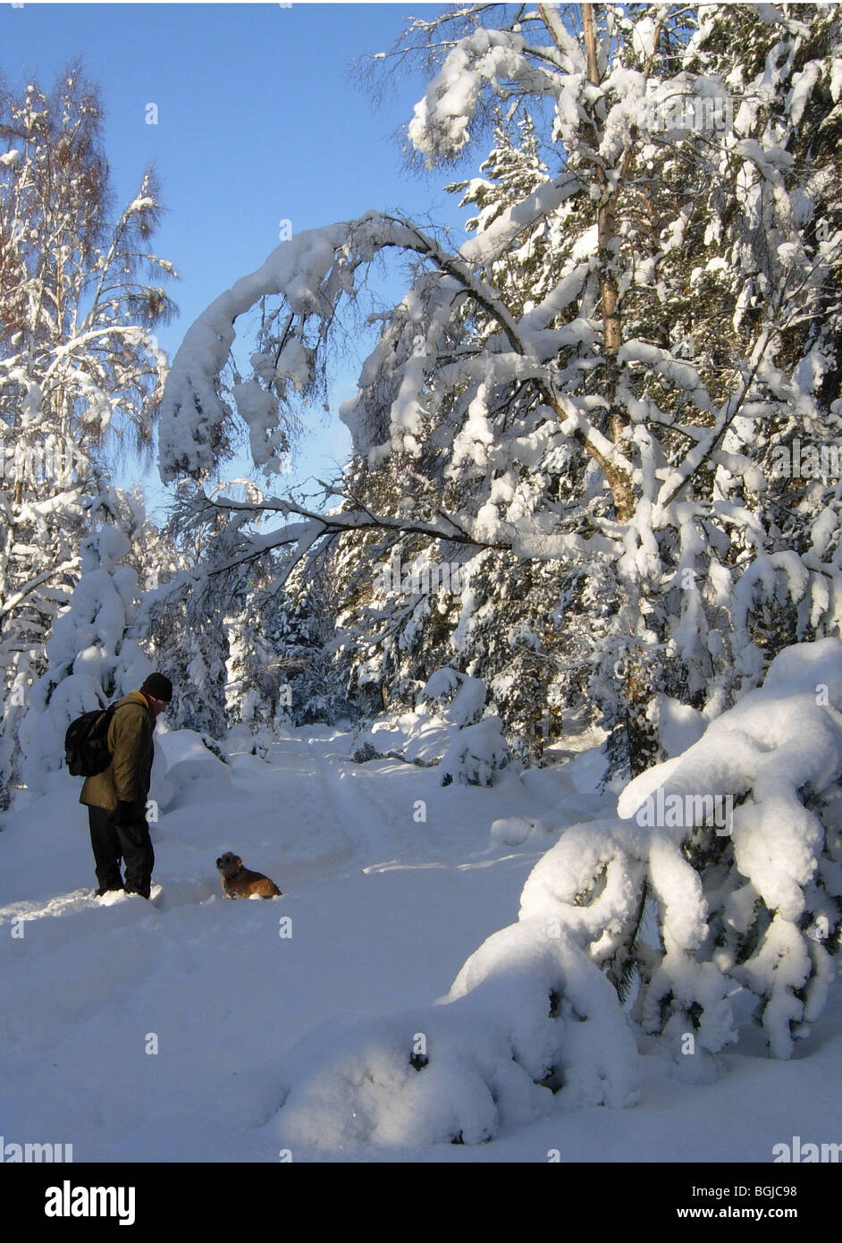 Uath Lochans, Inshriach Forest, Inverness-shire in Scozia nel gennaio Foto Stock