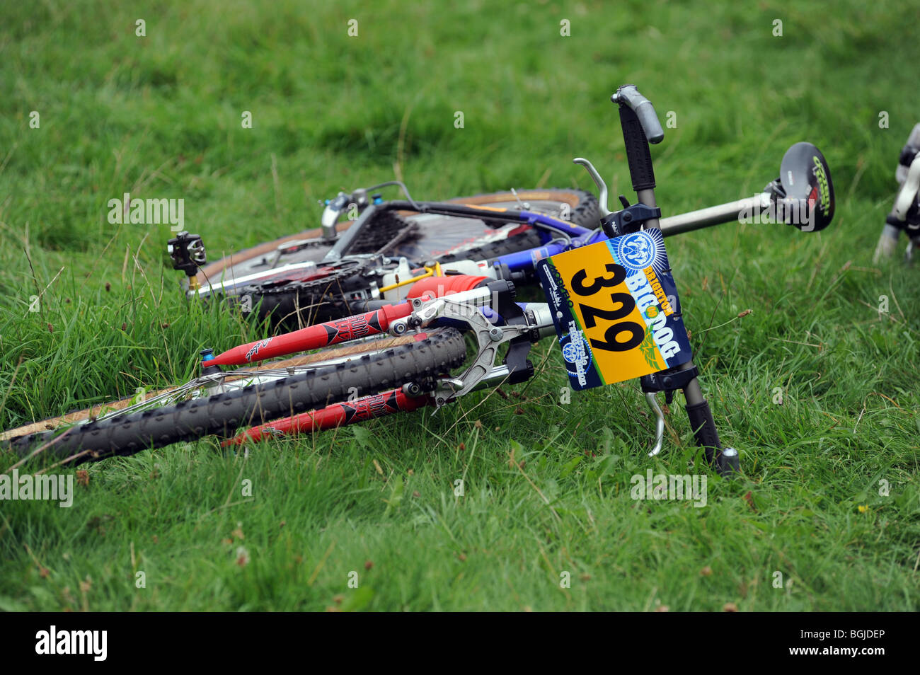 Una mountain bike giace a terra prima che il Brighton Big Dog mountain bike race round Stamner Park Foto Stock