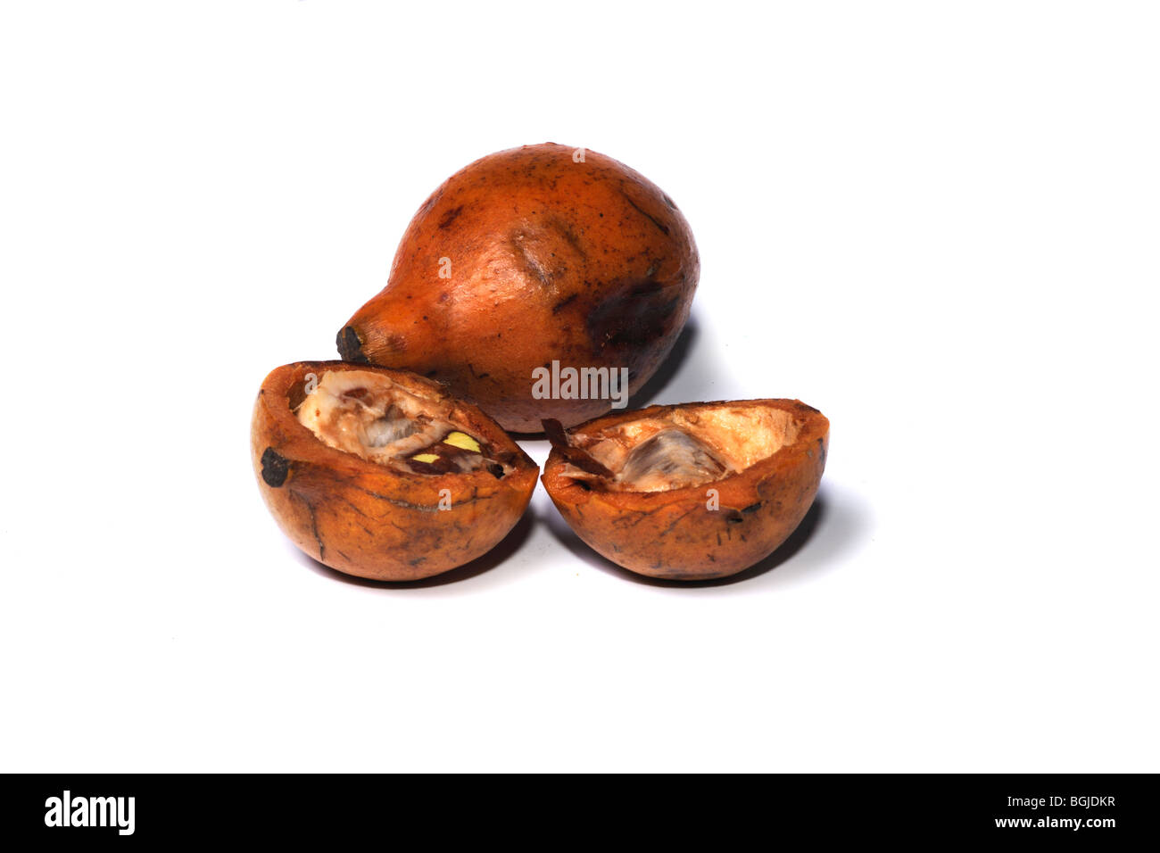Cacao in miniatura (Cacaui) baccelli, intero e split Foto Stock