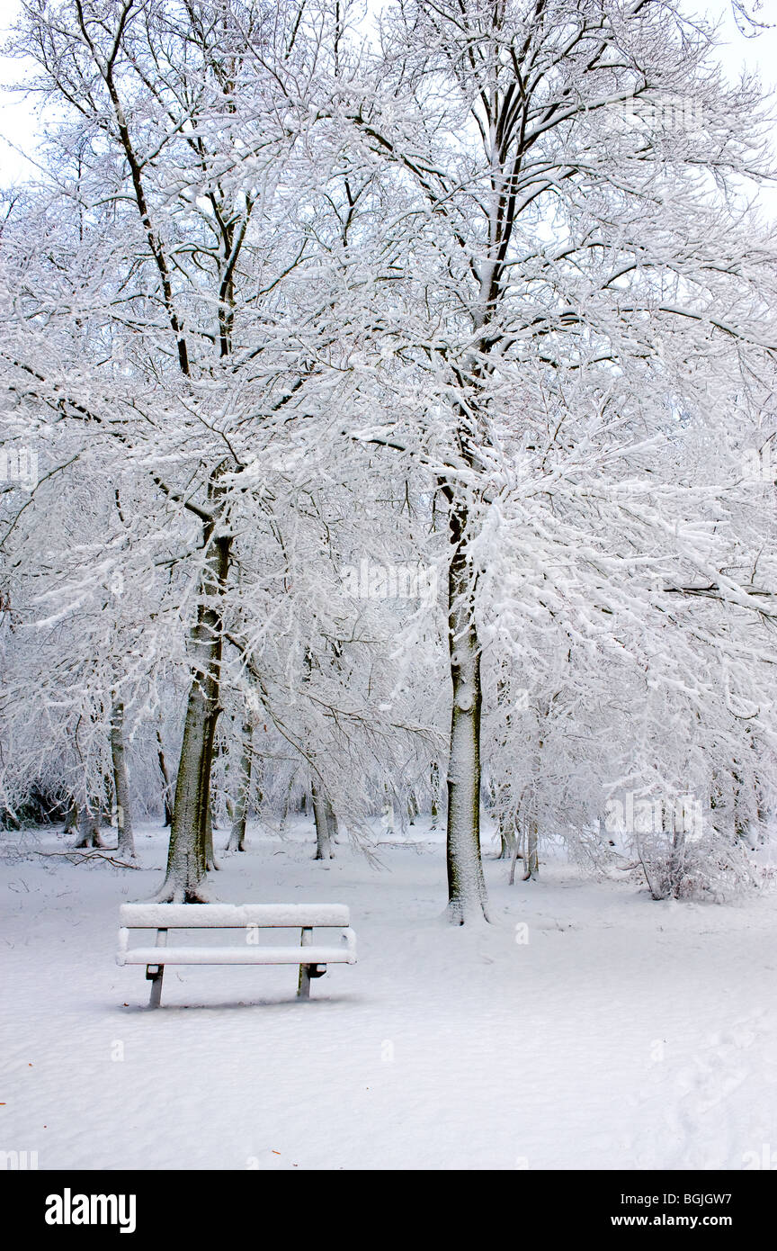 Thorndon Park - nevicate pesanti in un bosco in Essex. Foto Stock