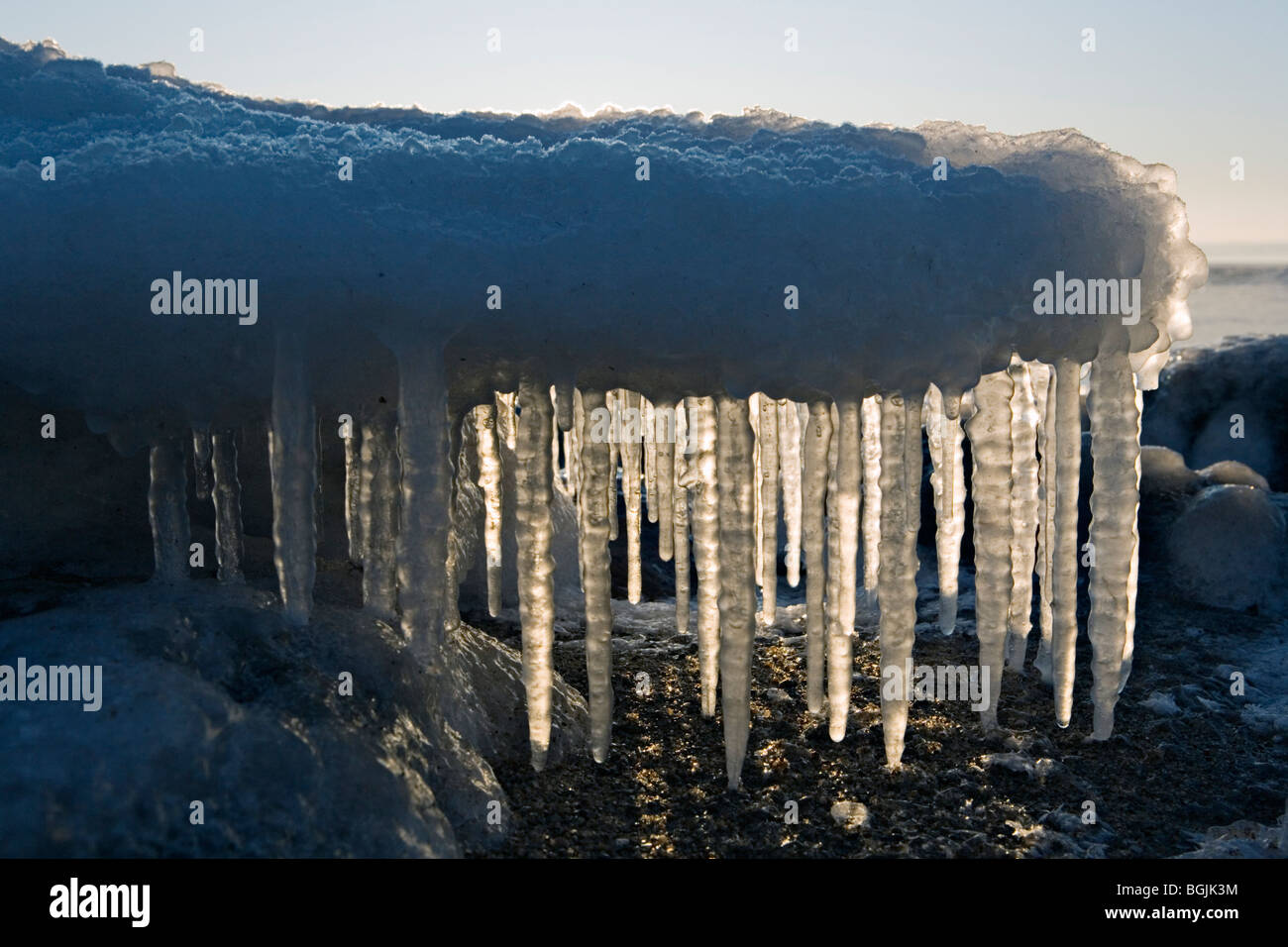 Ghiaccioli al Mar Baltico wintery costa al Ezurgu scogliere in Vidzeme Lettonia Foto Stock