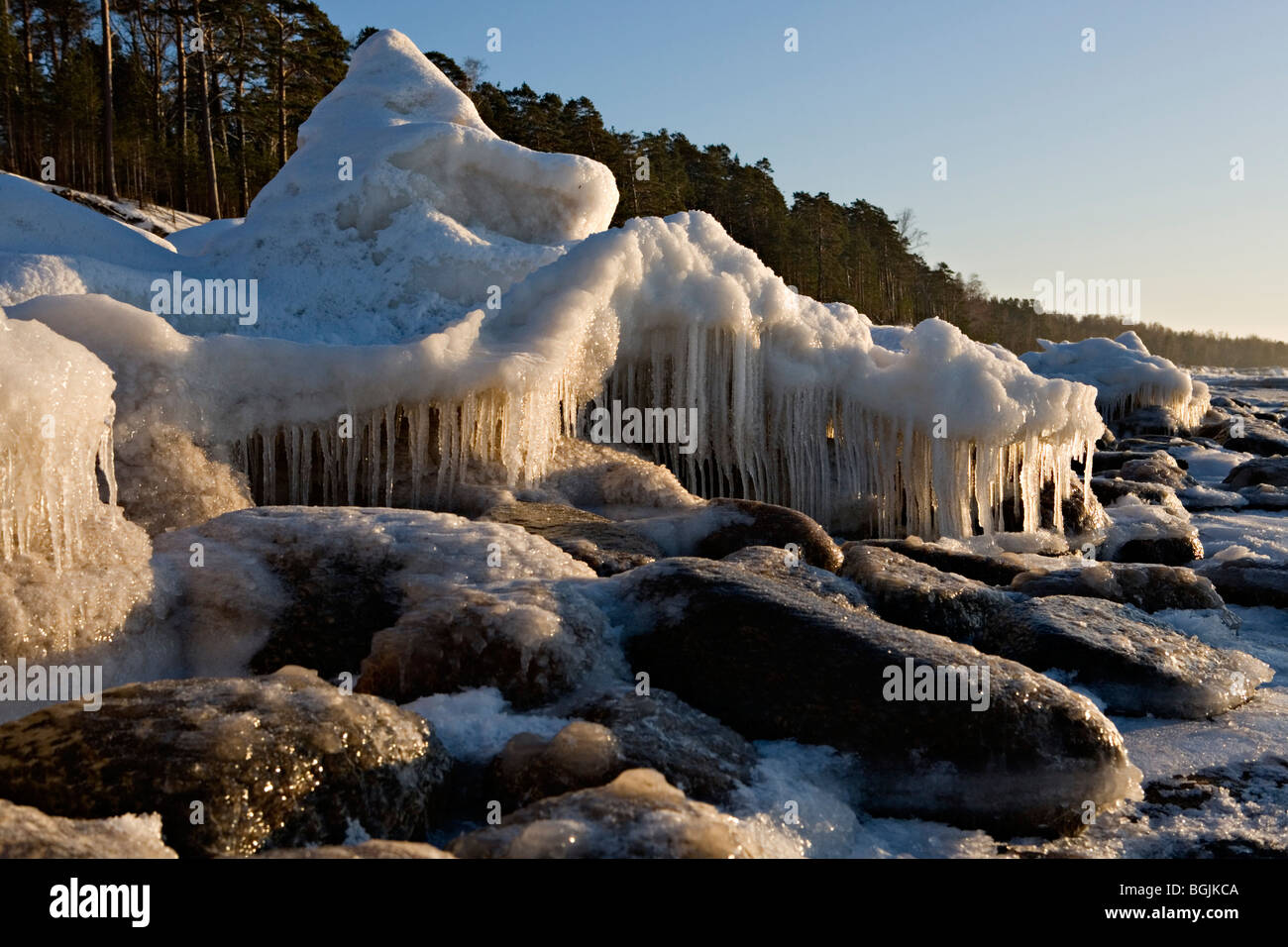 Mar Baltico wintery costa al Ezurgu scogliere in Vidzeme Lettonia Foto Stock