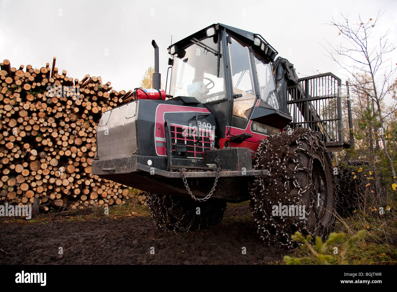 Vecchia raccoglitrice forestale Valmet 840 e un bosco di tronchi di pino finlandese ( pinus sylvestris ) , Finlandia Foto Stock