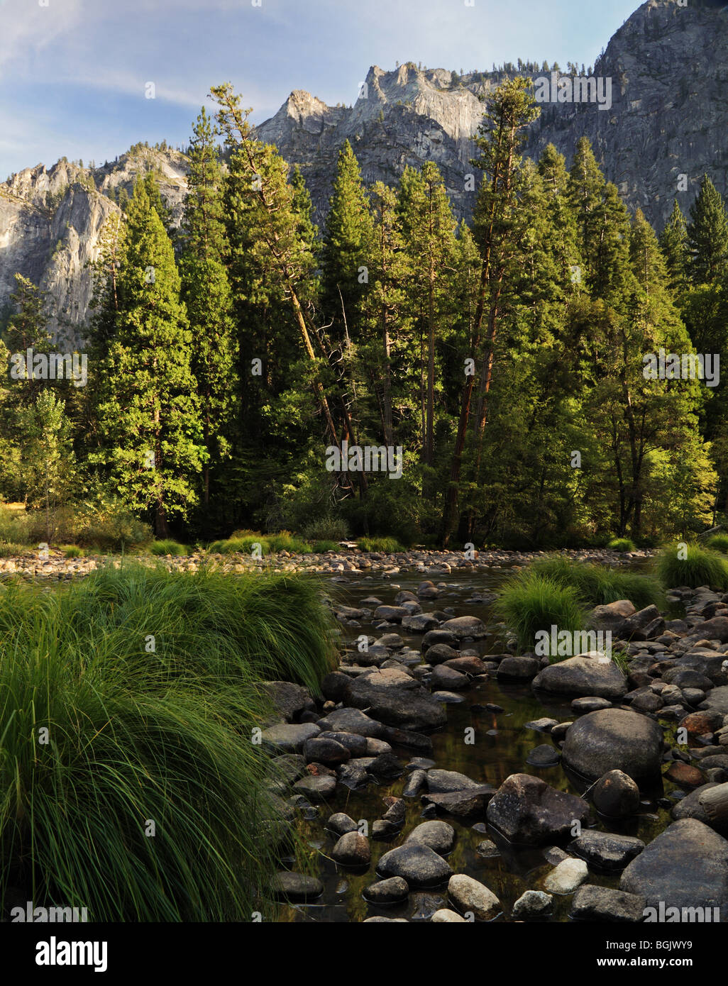 Gli alberi di fronte fiume Merced Foto Stock