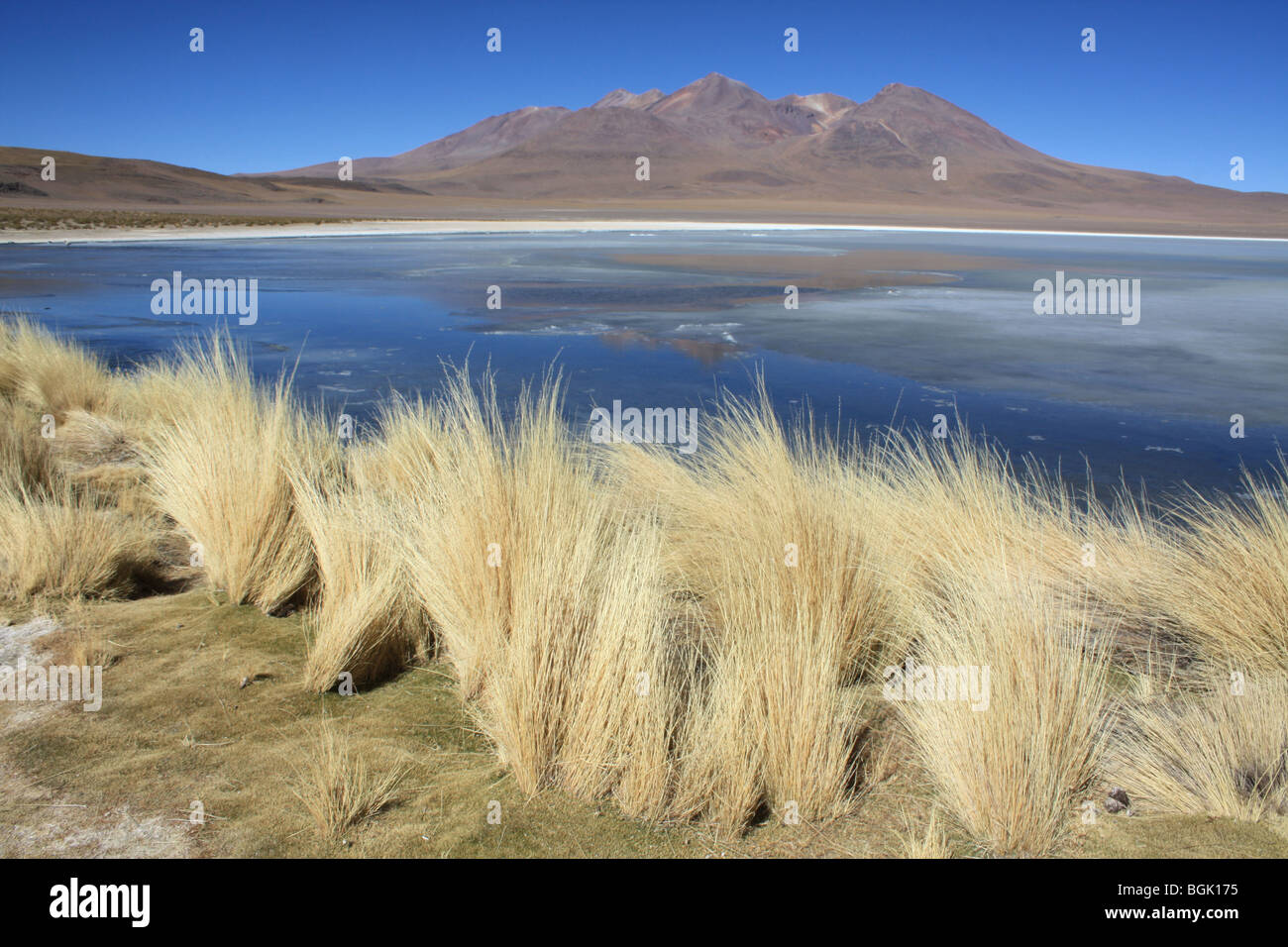 Laguna Hedionda Salar de Uyuni Bolivia Foto Stock