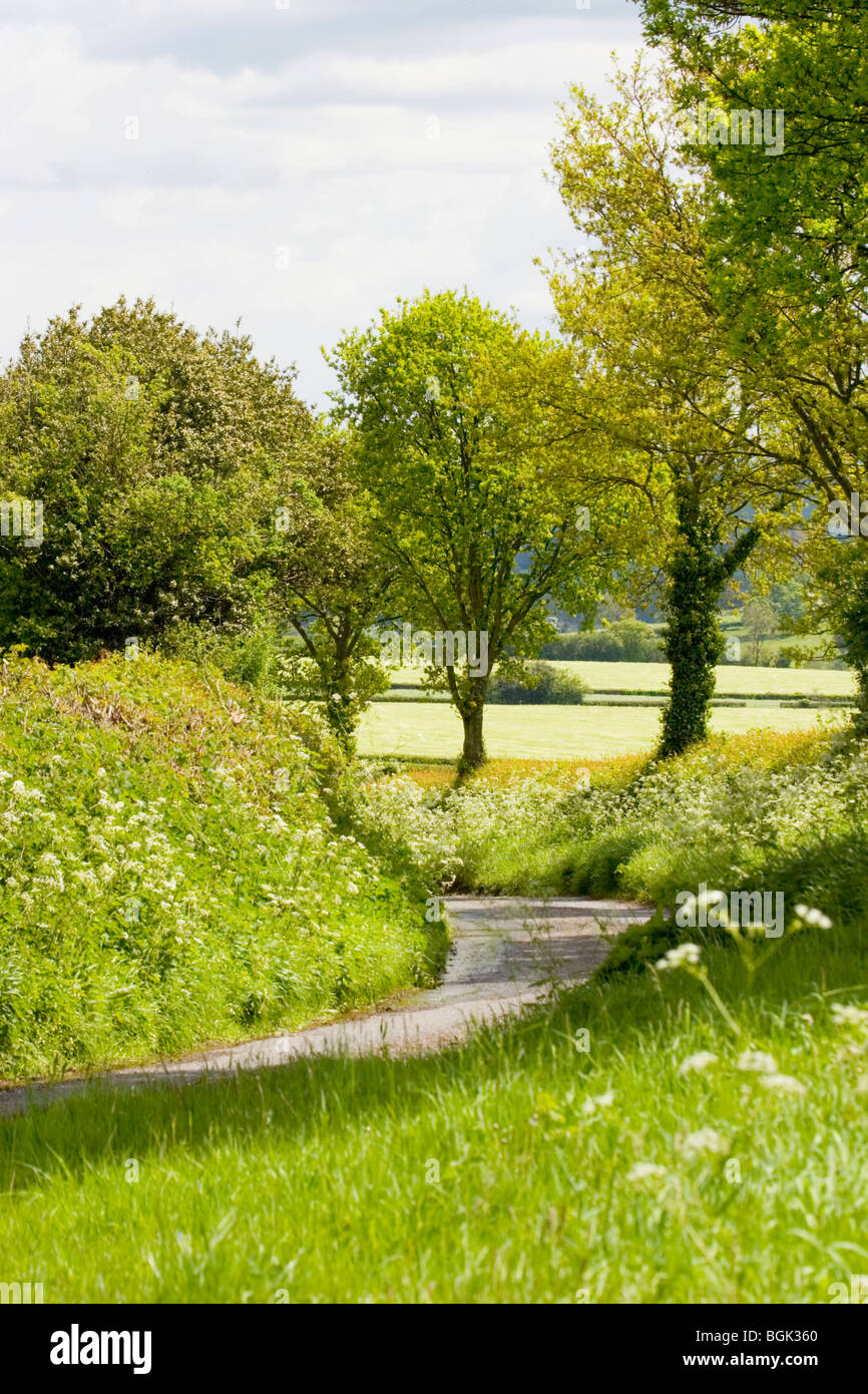 Shropshire vicolo del paese in primavera, Shropshire, Inghilterra, Regno Unito Foto Stock