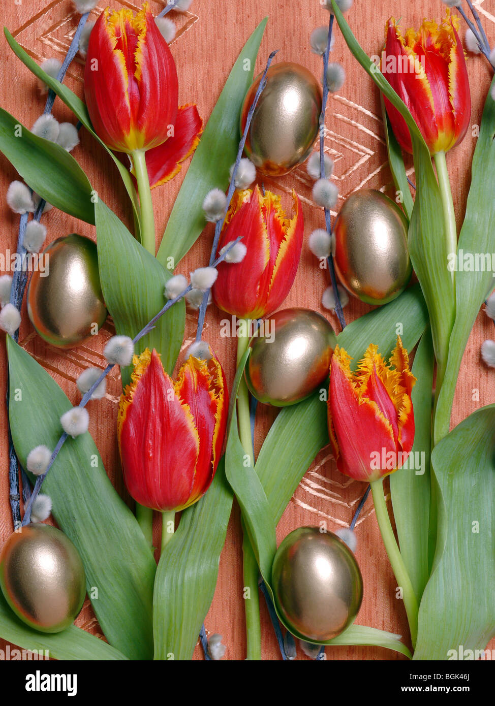 Sei uova d'oro tra taglio tulipani rossi e amenti Foto Stock
