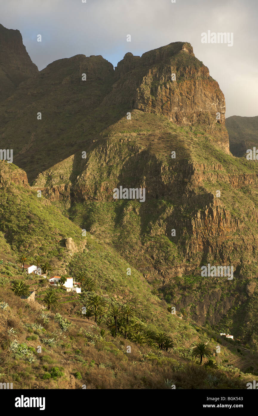 Wiew da Masca, Tenerife, Isole Canarie Foto Stock
