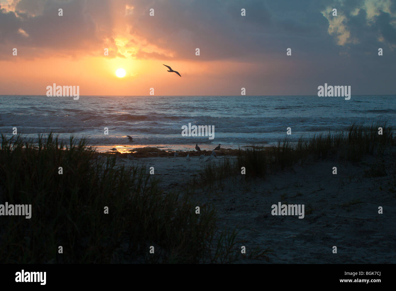 Nov 2008 - Il sorgere del Sole sopra l'Oceano Atlantico dietro il mare ricoperto di erba dune di sabbia a Jetty Park a Cape Canaveral, in Florida Foto Stock