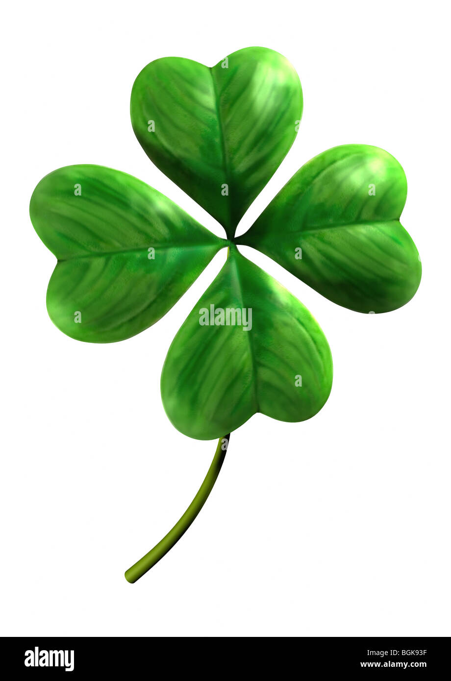 Quattro leafed shamrock simbolo di fortuna e Saint Patrick Day holiday isolati su sfondo bianco Foto Stock