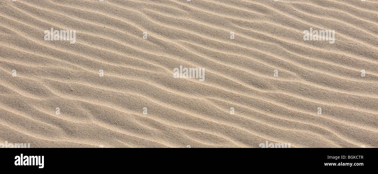 Configurazione astratta della sabbia di mare le ondulazioni formate dal vento sulla spiaggia lungo la costa Foto Stock