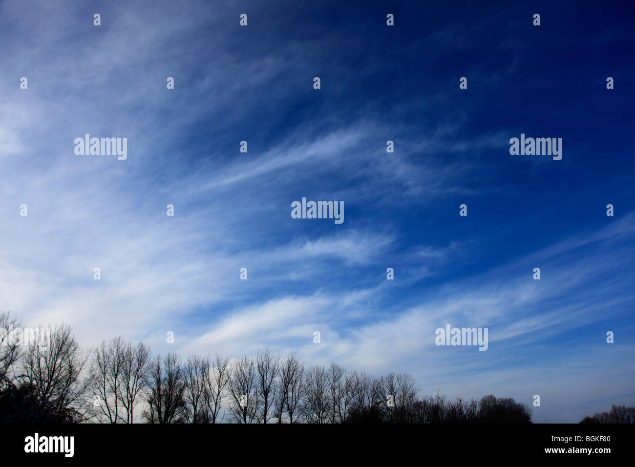 Cirrus Fibratus nuvole nel blu profondo cielo polarizzato Foto Stock