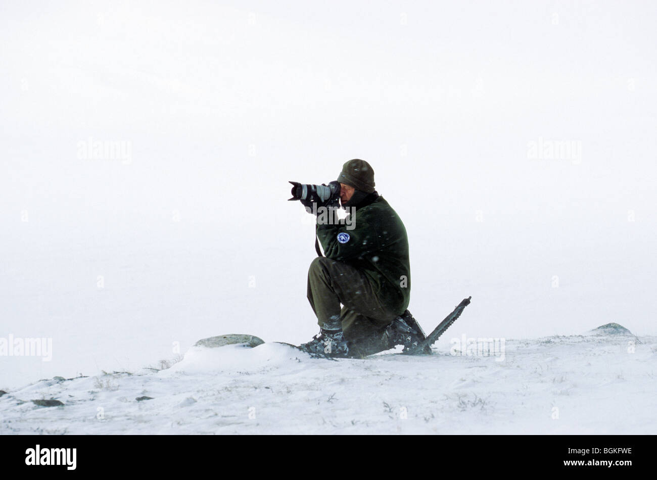 Fotografo su racchette da neve al lavoro nella neve, Dovrefjell National Park, Norvegia Foto Stock