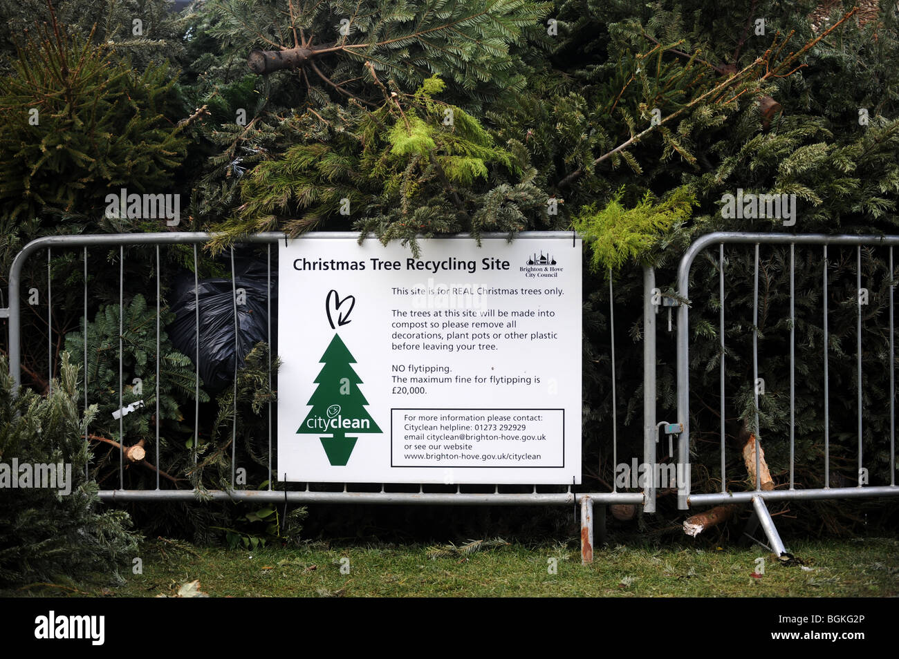 Un albero di Natale di riciclaggio in sito Brighton SUSSEX REGNO UNITO Foto Stock