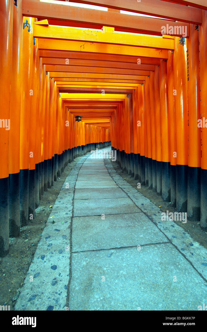 FUSHIMI inari Taisha, TORII, TORII GATES, santuario di cancelli, lo Shintoismo, Fox santuario, Kyoto, Giappone, religione, ROSSO TORII Foto Stock