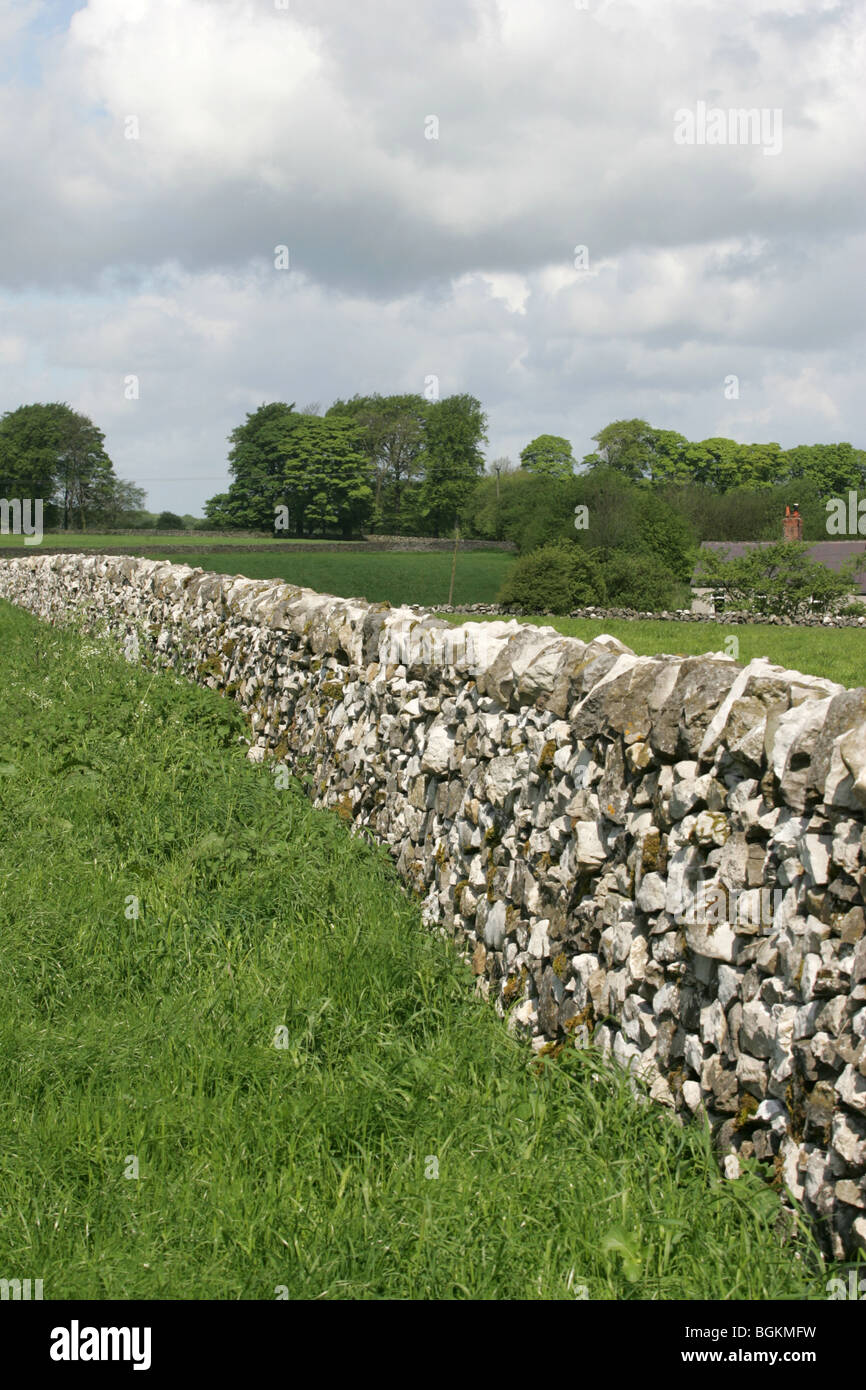 Derbyshire secco muro di pietra Foto Stock
