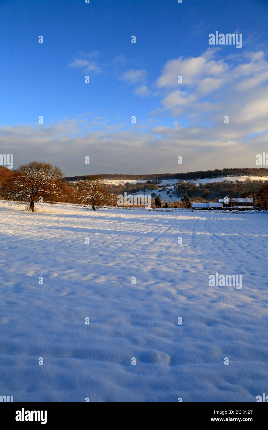 Terreni coperti di neve, Honley, Leeds, West Yorkshire, Inghilterra, Regno Unito. Foto Stock