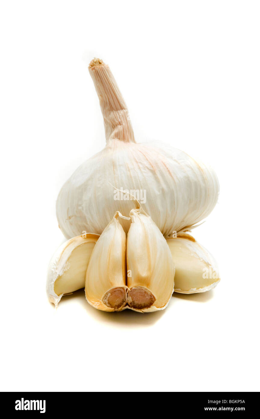 Bulbo aglio e chiodi di garofano su sfondo bianco Foto Stock