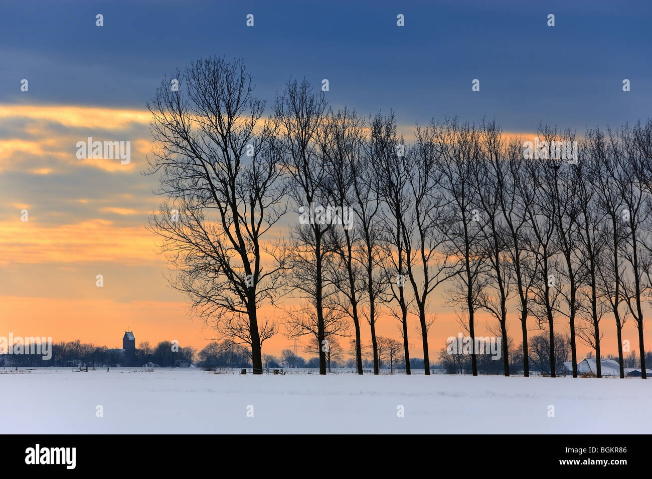 Winterlight a Groningen, dicembre 2009. Tra Winsum en Garnwerd Foto Stock