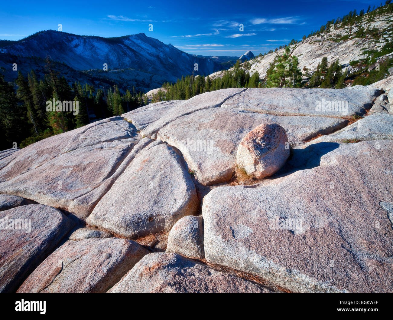Roccia di granito e mezza cupola. Parco Nazionale di Yosemite in California Foto Stock
