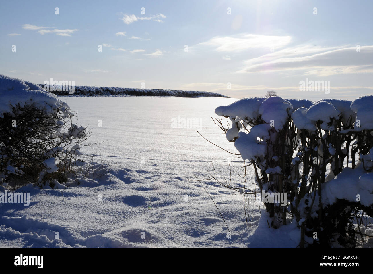 Un campo e una siepe in Oxfordshire dopo una tempesta di neve. Sole e cielo blu Foto Stock