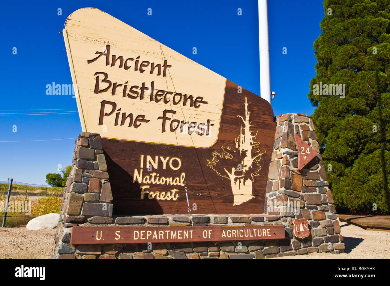 Bristlecone antica pineta segno, Inyo National Forest, White Mountains, California Foto Stock