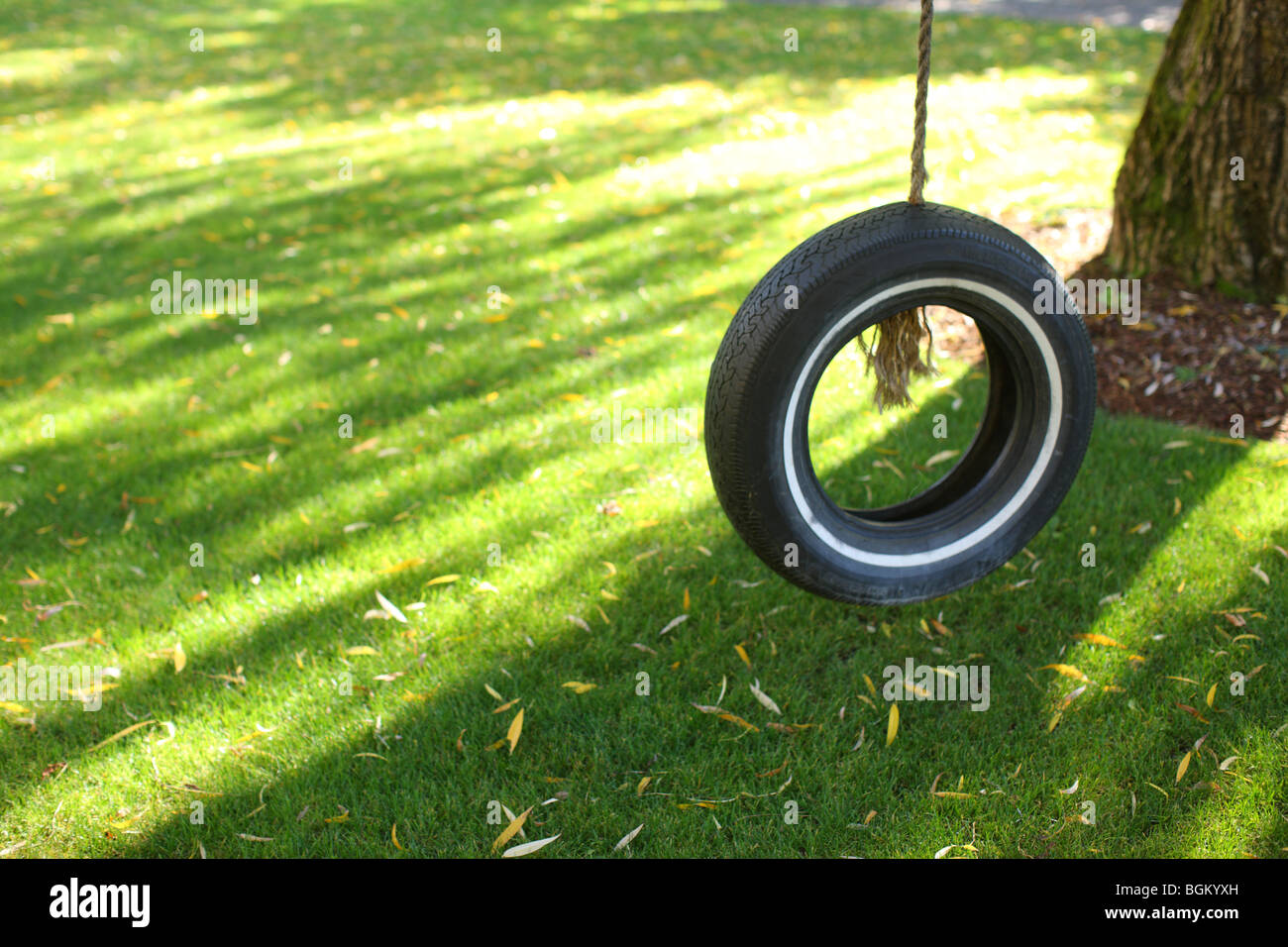 Tire Swing e dalla luce del sole sull'erba Foto Stock