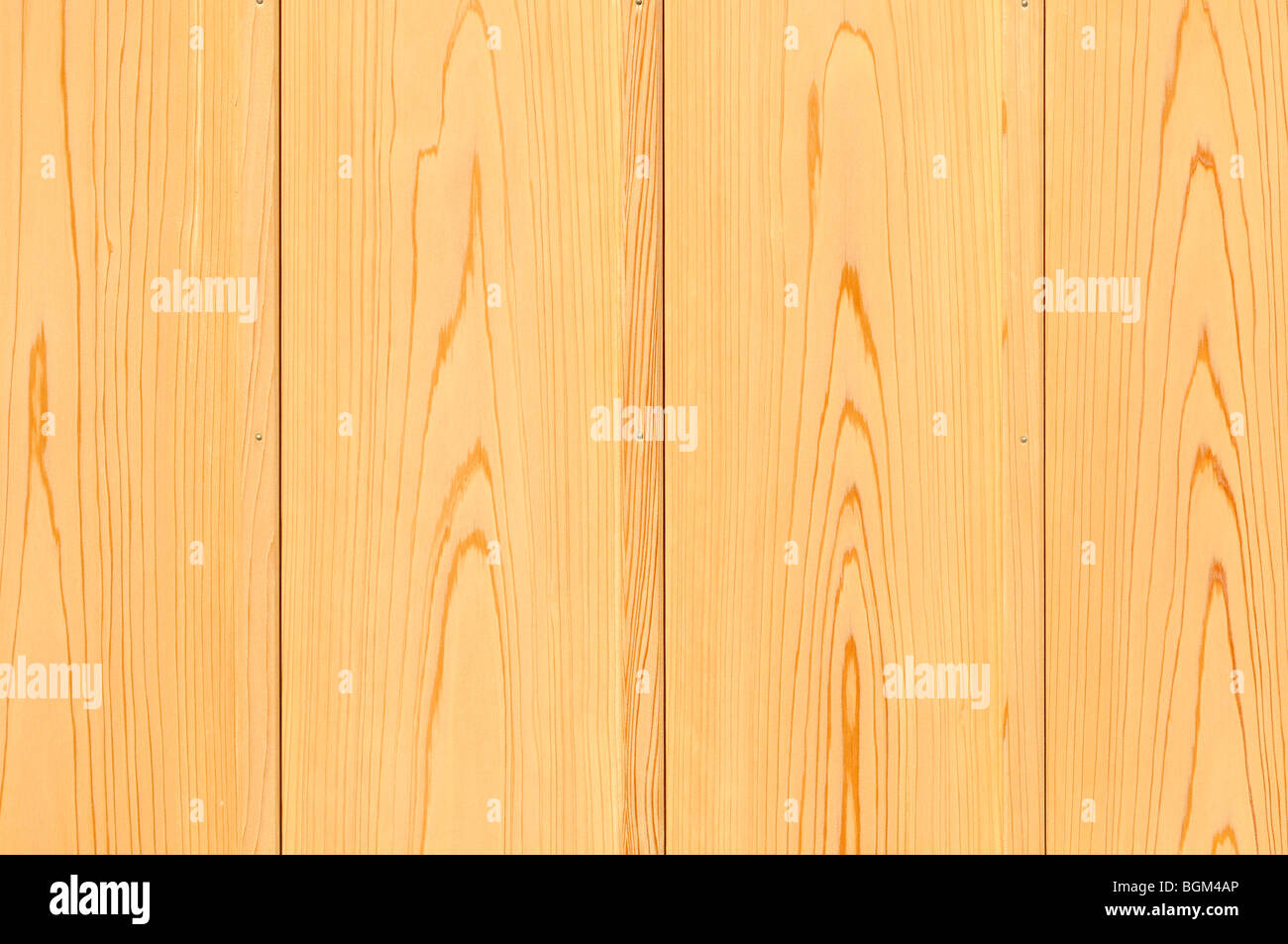 Cedro giapponese listoni in legno Foto Stock