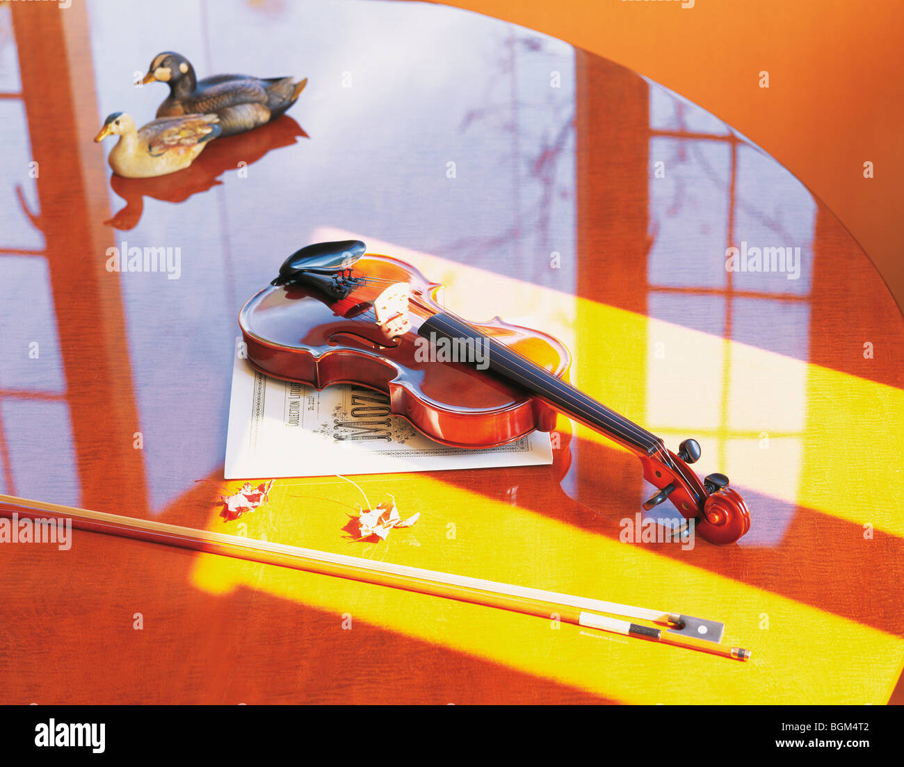 Violino su un tavolo lucido con il modello di anatre Foto Stock