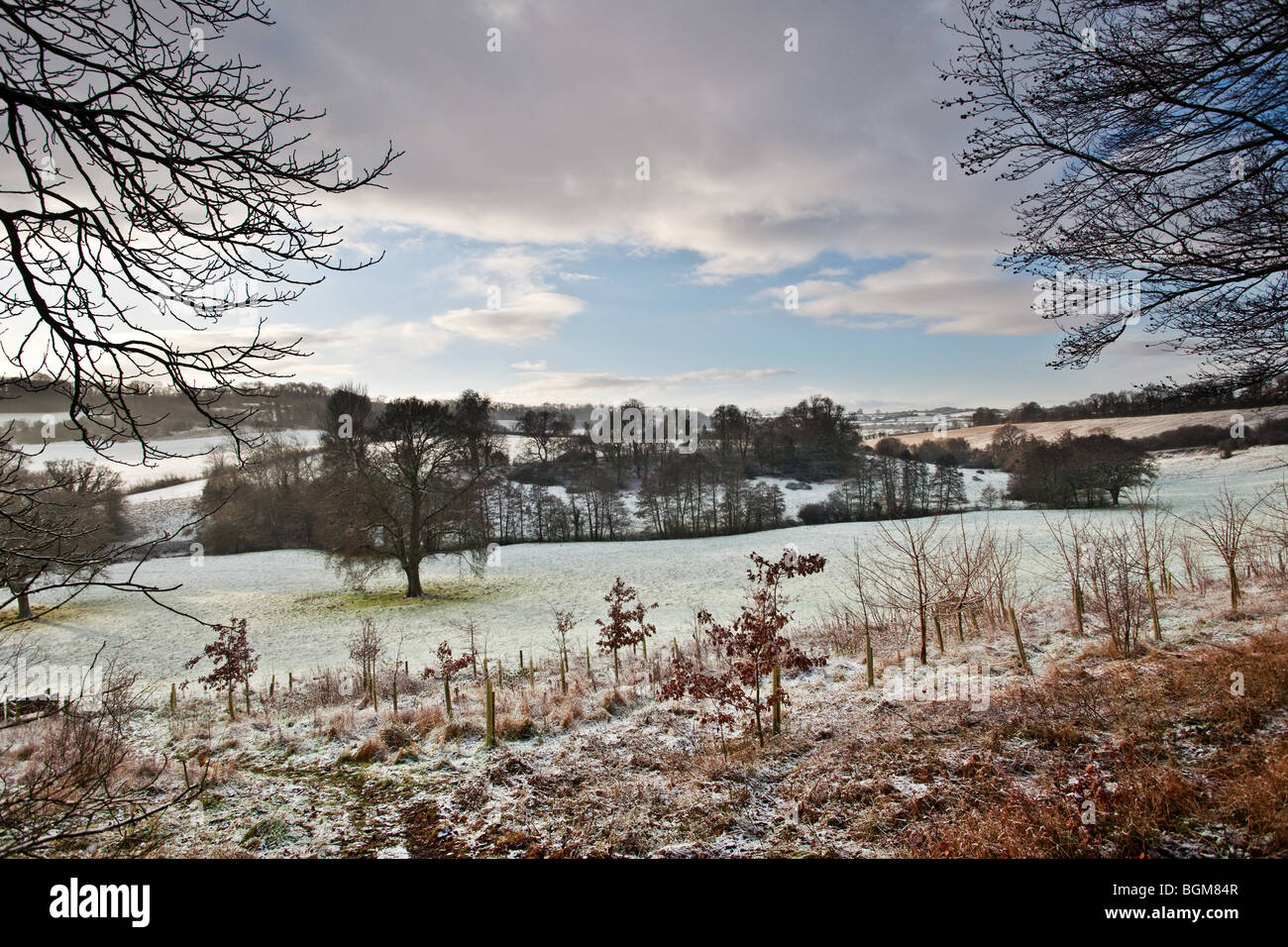Paesaggio invernale Foto Stock
