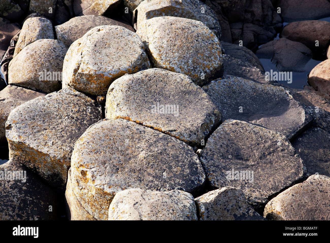 Pietre vulcaniche al Giant's Causeway Antrim Irlanda del Nord, a fenomeni naturali e un sito del patrimonio mondiale. Foto Stock