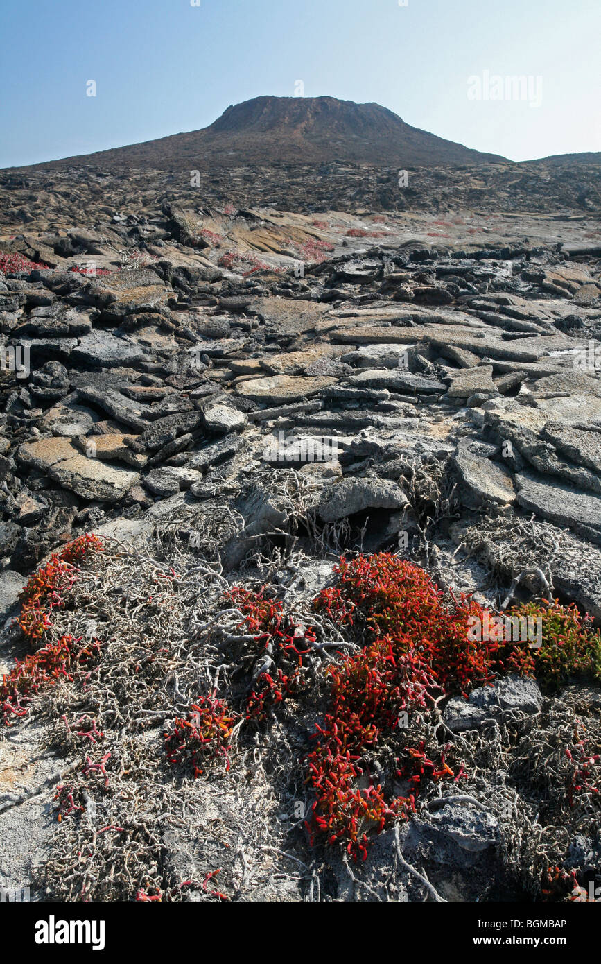La lava vulcanica rock formazione Sombrero Chino / Chinaman's Hat sull'isola di Santiago / Isola di San Salvador, Isole Galapagos Foto Stock