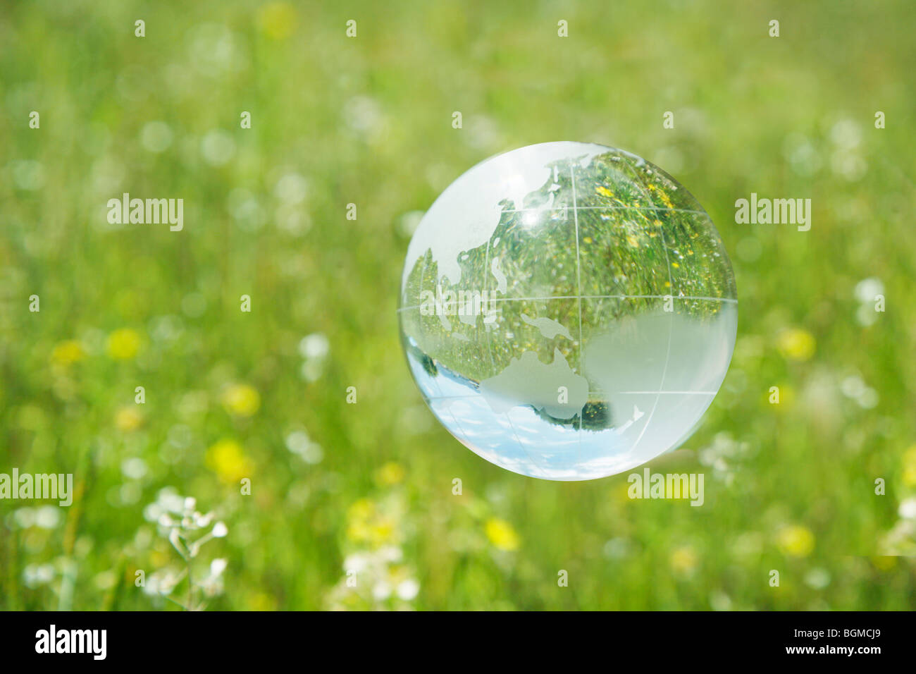 Globo di cristallo su flottante erba e fiori Foto Stock