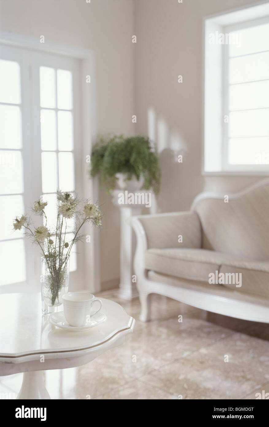 Camera Bianca con divani e piante Foto Stock