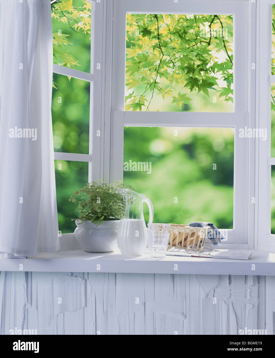 Pane e latte con impianto sul davanzale Foto Stock