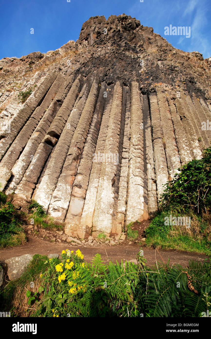 L'Organo presso il Selciato del gigante Antrim Irlanda del Nord un fenomeno naturale e un sito del patrimonio mondiale. Foto Stock