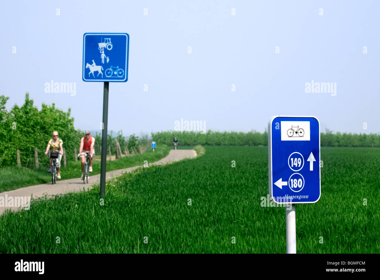 I ciclisti e segno di traffico a bike-Way junction, Hesbaye, Belgio Foto Stock