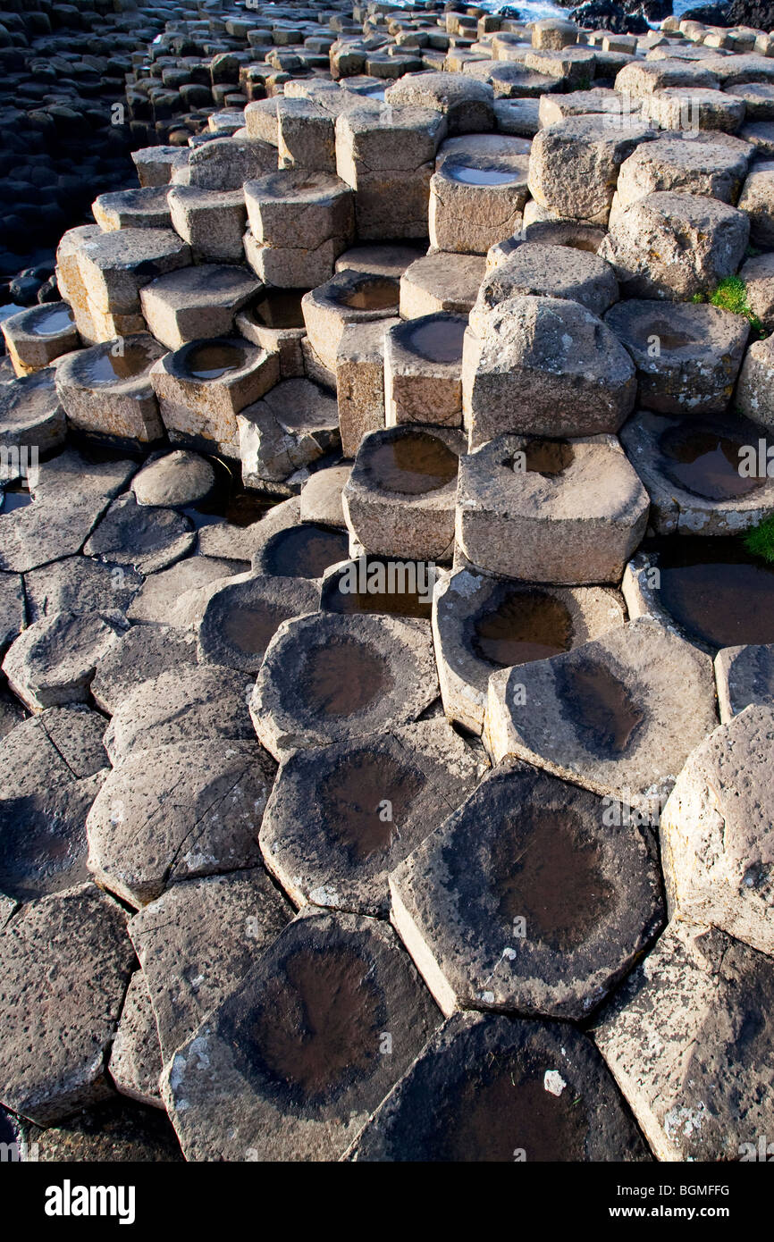 Fasi di roccia vulcanica al Giant's Causeway Antrim Irlanda del Nord un fenomeno naturale e un sito del patrimonio mondiale. Foto Stock