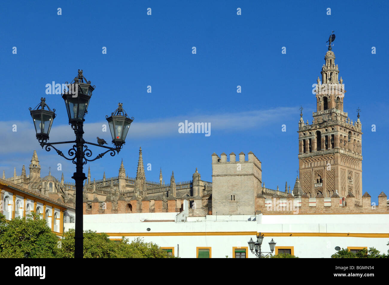 La Giralda - Cattedrale di Siviglia Spagna Foto Stock