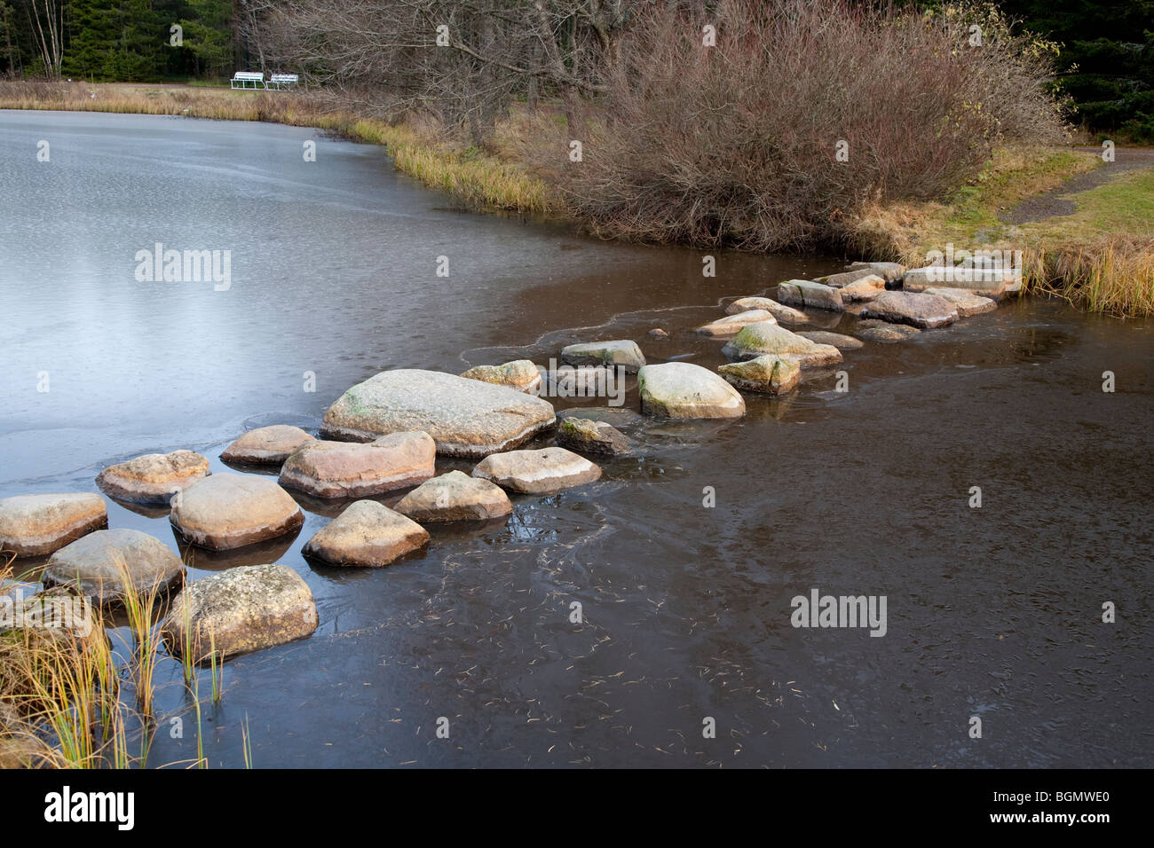 Stepping di pietre su un laghetto da giardino finlandese ghiacciato, strato di ghiaccio, Finlandia Foto Stock
