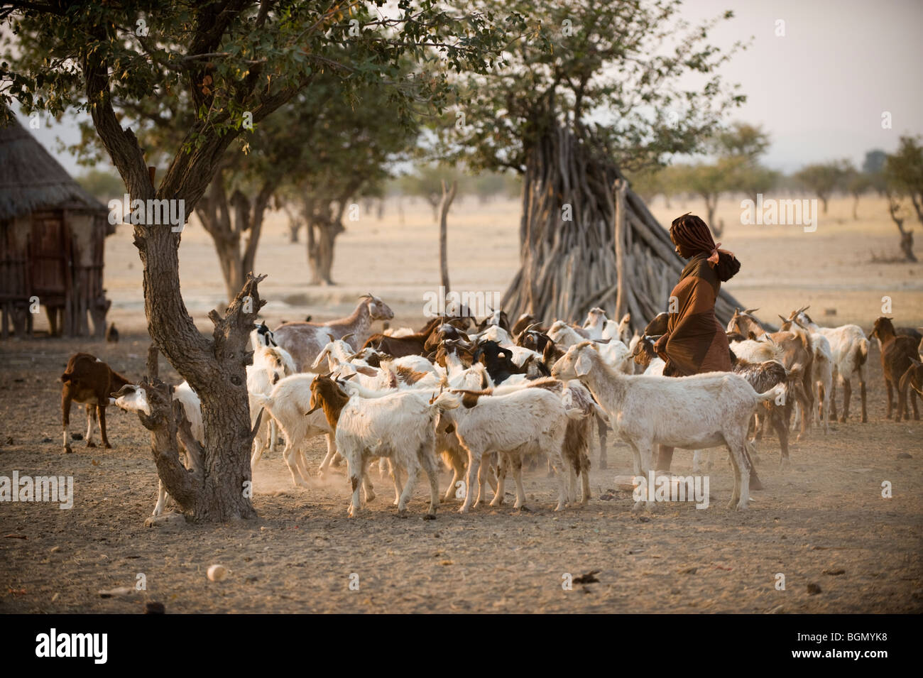 Tradizionale donna Himba 1n Namibia settentrionale Foto Stock