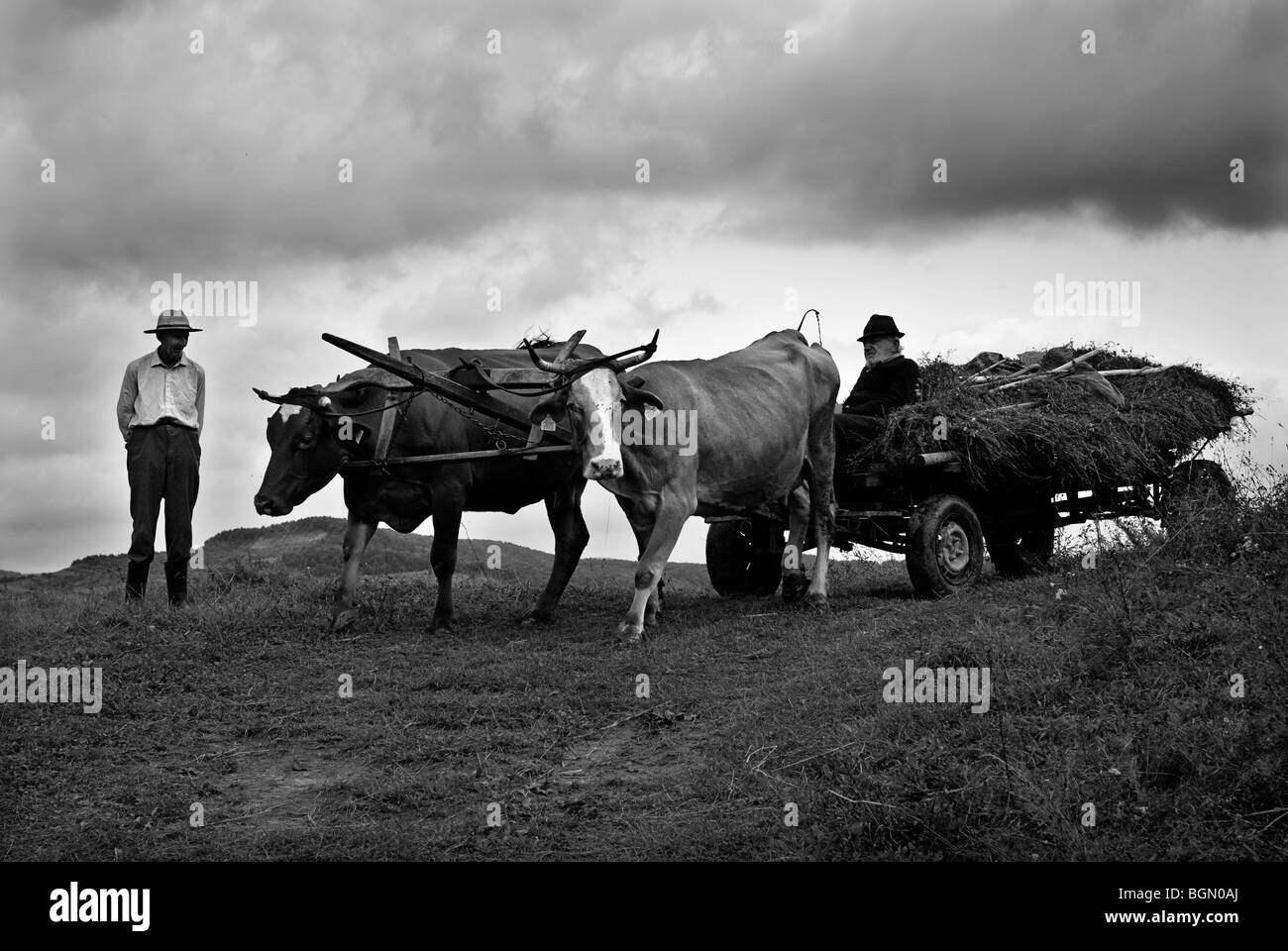 Trasporto tradizionale è ancora utilizzato da molte persone, Bistrita Foto Stock