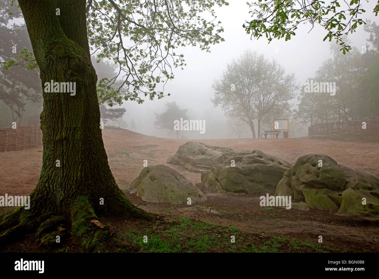 La Hol Rock nella nebbia, un sito preistorico, Zonhoven, Belgio Foto Stock