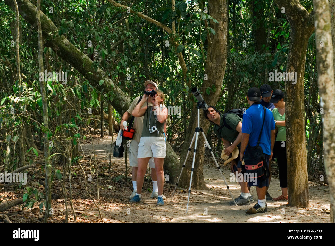 Gli amanti del birdwatching e turisti eco guardando gli uccelli nella foresta pluviale, Parco Nazionale di Manuel Antonio, Costa Rica, America Centrale Foto Stock