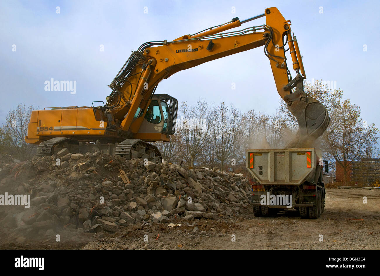 Escavatore caricamento di un dumper Foto Stock