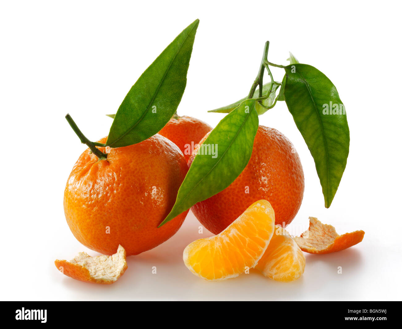 I mandarini freschi frutti con foglie contro uno sfondo bianco Foto Stock